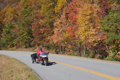 Fall Colors Images