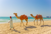 Jumeirah Beach Images