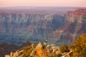 Arizona Images