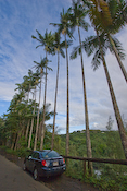 Hawaii Coastline Images