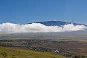 Hawaii Miscellaneous