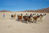 San Juan, Bolivia Images