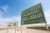 Quillagua, Chile Images