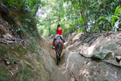 Tayrona Park Beaches Images