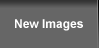 New Media